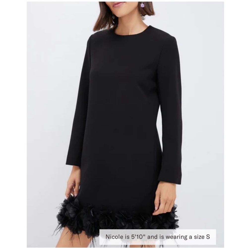 Tuckernuck Black Feather Hem Dress